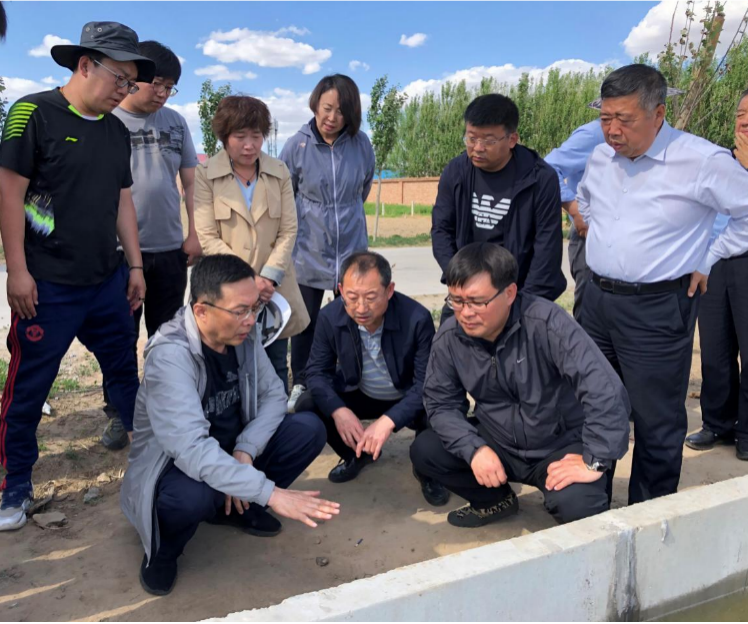 集团董事长王福林检查指导彰武旱改水灌溉通水试运行工作2.png