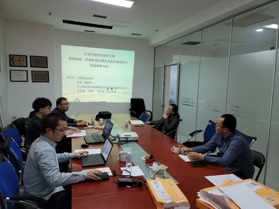 辽干渗流稳定成果完成验收1.png